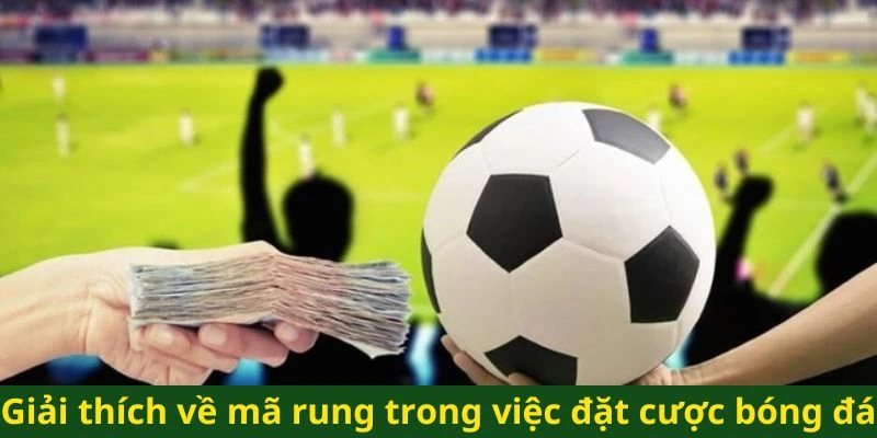 Giải thích về mã rung trong việc đặt cược bóng đá