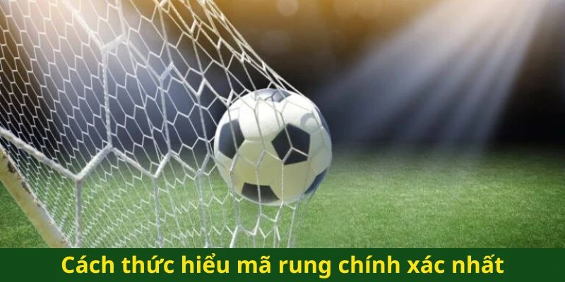 Cách thức hiểu mã rung chính xác nhất