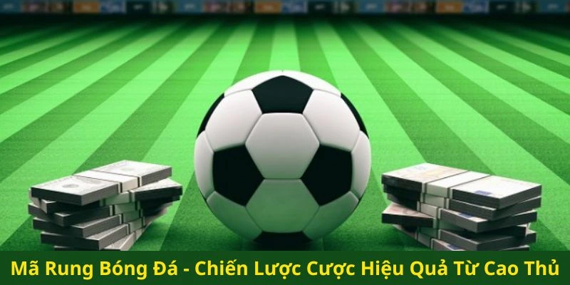 Mã Rung Bóng Đá - Chiến Lược Cược Hiệu Quả Từ OK365