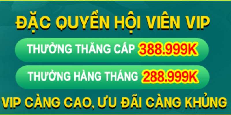 Khuyến mãi cho thành viên VIP